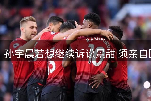 孙宇晨若想继续诉讼景甜 须亲自回国应诉